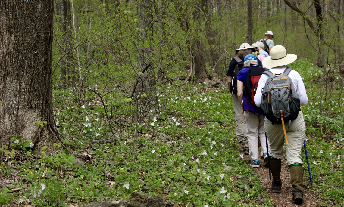 Thompson Wildlife Management Area VA hikers